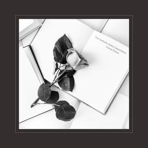 非洲农场主三姐妹
